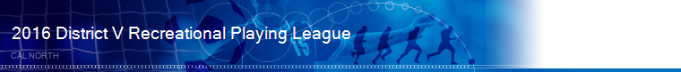 2015 District V Recreational Playing League banner
